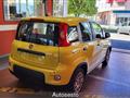 FIAT PANDA 1.0 FireFly S&S Hybrid Pandina