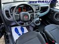 FIAT PANDA 1.0 FireFly S&S Hybrid - Neopatentati