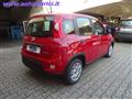 FIAT PANDA 1.0 FIREFLY 70 CV S&S HYBRID KM0