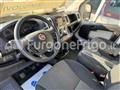 FIAT DUCATO Fiat Ducato Coibentato Isotermico Frigorifero