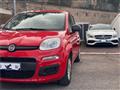 FIAT PANDA 1.0 FireFly S&S Hybrid *IVA ESPOSTA* NEOPATENTATI