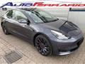 TESLA MODEL 3 Model 3 Long Range Performance AWD