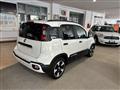 FIAT PANDA 1.0 FireFly S&S Hybrid Pandina