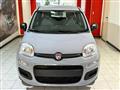 FIAT Panda 1.2 Easy s&s 69cv my19