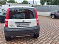 FIAT PANDA VAN 1.2 4x4 Van Active Trekking 2 p.ti Attrezzata