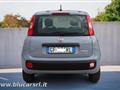 FIAT PANDA 1.0 FireFly S&S Hybrid Easy