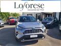 TOYOTA RAV4 2.5 HV (218CV) E-CVT 2WD Business