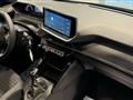 PEUGEOT 2008 PureTech 100 S&S Active (rottamazione euro 4)