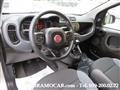 FIAT PANDA 1.2 69cv LOUNGE - ARGENTO M. - B.TOOTH - x NEOPAT.