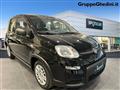 FIAT PANDA 1.0 FireFly S&S Hybrid Pandina