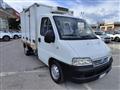 FIAT DUCATO CABINATO CON CASSA FRIGO