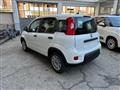 FIAT PANDA 1.0 Hybrid 70cv 36 Rate da 177,95