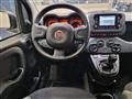 FIAT PANDA 3ª serie 1.0 FireFly S&S Mild - Hybrid City Life