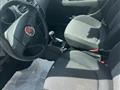 FIAT PUNTO 1.2 8V 5 porte Lounge