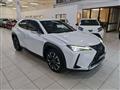 LEXUS UX Hybrid Luxury