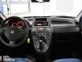 FIAT PANDA 1.4 Natural Power Classic - Ok Neopatentati