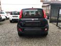 FIAT PANDA 1.0 FireFly S&S Hybrid Pandina