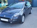 FIAT PUNTO 1.2 8V 5 porte Street