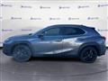 LEXUS UX Hybrid 4WD Midnight