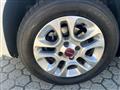 FIAT PANDA 1.3 mjt 16v Lounge 75cv E5+