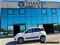 FIAT PANDA 0.9 TwinAir Turbo 4x4 VAN 2 POSTI AUTOCARRO