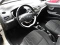 KIA PICANTO 1.0 12V 5 porte Cool NEOPATENTATI