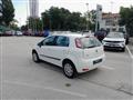 FIAT PUNTO 1.4 8V 5 porte Natural Power Lounge