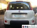 FIAT PANDA 1.0 FireFly S&S Hybrid Pandina Urban Km 0