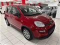 FIAT PANDA 1.0 Hybrid PROMO CAR SERENITY