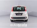 FIAT PANDA 1.3 MJT 95 CV S&S Easy