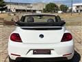 VOLKSWAGEN MAGGIOLINO Cabrio 1.4 TSI DSG Sport 60's (Fender/LED/Auto)