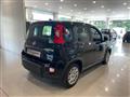 FIAT Panda 1.0 firefly hybrid s&s 70cv