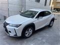 LEXUS UX Hybrid Business