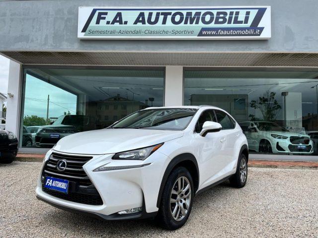 LEXUS NX Hybrid 4WD Executive