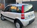 FIAT Panda 1.2 Climbing 4x4