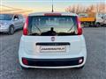 FIAT PANDA 1.2 Easy+NEOPATENTATI+SOLO 66000 KM