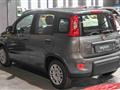 FIAT PANDA Hybrid 1.0 70cv