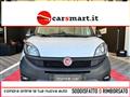 FIAT DOBLÒ 1.6 MJT 105CV S&amp;S PC-TN Cargo Lounge