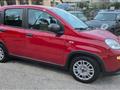 FIAT PANDA 1.0 HYBRID S&S 70 CV SENSORI PARK RADIO TOUCH BT