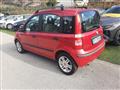 FIAT PANDA 1.2 Alessi Emotion - OK NEOPATENTATI -