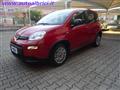 FIAT PANDA 1.0 FIREFLY 70 CV S&S HYBRID KM0