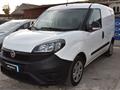 FIAT DOBLÒ 1.6 MJT 105CV S&S PC-TN Cargo Lounge