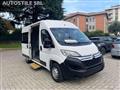 FIAT DUCATO CITROEN JUMPER  *Trasporto DISABILI *9 Posti