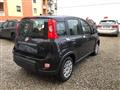 FIAT PANDA 1.0 FireFly S&S Hybrid Pandina