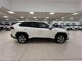 TOYOTA RAV4 2.5 HV (222CV) E-CVT AWD-i Dynamic