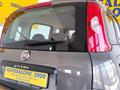 FIAT PANDA 1.2 Easy  NEOPATENTATI