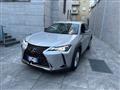 LEXUS UX Hybrid Business