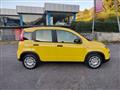 FIAT PANDA 1.0 FireFly S&S Hybrid Pandina