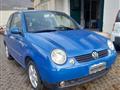 VOLKSWAGEN LUPO 1.4 16V cat Highline