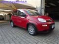 FIAT PANDA 1.0 FIREFLY 70 CV S&S HYBRID KM0